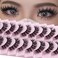 DSLONG 10 Pairs Cluster Lashes D Curl Russian Strip Lashes Fluffy False Eyelashes Individual Natural Wispy Lashes DIY Eyelashes Extension At Home