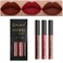 DNM 3Pcs Matte 24-hour Liquid Lipstick Sets, Dark Ruby Brown Red Permanent Stay on Lipstick Lip Set for Black Women Long Lasting 24 Hours Smudge Proof labiales matte labial mate larga duracion 24 02