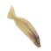 EXCEART Hair Comb Fine Tooth Comb s Ox Horn Fish Shape Anti Static Portable Comb Without Handle Hair Loss for Woman Men s Shower Comb Anti- Static Comb Horn Comb