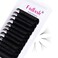 Easy Fan Lashes FADLASH Mega Volume Eyelash Extensions Self Fanning Lashes 5D 6D 7D 10D 0.03 C D Curl Rapid Blooming Lashes (0.03-C, 16mm)