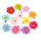 Framendino, 12 Pack Colors Hair Clip Daisy Clips Sun Flower Hairpins Mini Sunflower Pins for Women