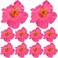 Framendino, 10 Pack Hibiscus Flowers Artificial Hair Decoration Pink