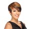 ERICA - Shake N Go Freetress Equal Synthetic Hair Wig #OM27/30/613