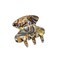 French Amie Flat Oval Silver Onyx Grey Small 1 3/4&rdquo; Handmade Celluloid Interlocking Strong Hold No Slip Grip Claw Clip Jaw Claw Hair Clips Clamp Clutcher for Women and Girls, Made in France