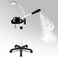 Professional Facial Steamer, 2 in 1 Facial Steamer on Wheels with 5X Magnifying Lamp, Ozone Facial Steamers Adjustable Height, Steamer for Facial for Salon, Spa and at Home Use