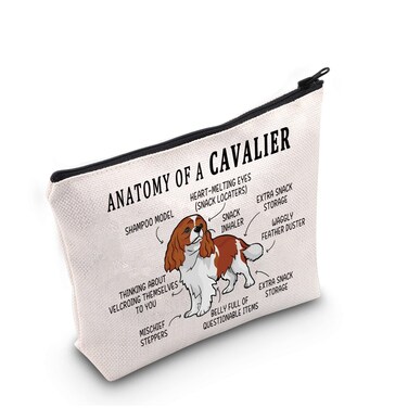 G2TUP Cavalier King Charles Spaniel Lover Gift - Anatomy Of A Cavalier Makeup Bag - Owner Cosmetics Bag Zipper Travel Bag (White)