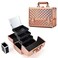 Joligrace Makeup Train Case Cosmetic Box 11.6 Inch Jewelry Organizer Professional 3 Tiers Trays with Mirror and Brush Holder Lockable Key Portable Travel - Rose Gold