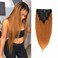 Ombre Clip in Human Hair Extensions Straight Human Hair 100% Remy Hair 140G Silky Thick Real Human Hair Extensions for Black Women 8Pcs A Total of 18 Clips(14Inch，#1B/30 Brown)