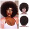 Afro Wig for Black Women,Large Bouncy Fluffy and Soft Natural Looking 70's Afro Curly Wig for African Black Women (Brown)