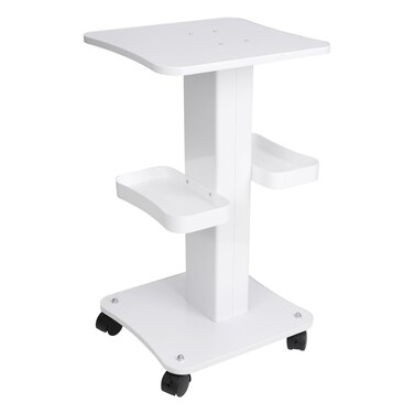 Upgrade Esthetician Beauty Trolley Cart with Wheels and 2 Trays, 4 Tier Beauty Rolling Cart, Spa Salon, Beauty Machine Trolley, Load 135lbs, 26.7 x 13.8 x 15 inch