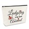 Ladybug Gift Ladybug Makeup Bag for Girls Women Ladybug Lover Gift Cosmetic Bag Best Friend Friendship Gift Animal Lover Gift Christmas Birthday Gift for Her Sister Daughter Travel Makeup Pouch