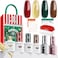 modelones Gel Nail Polish Kit With U V Light, Red Green Gold Cat Eye Brown Manicure Starter Set with Holiday Stickers Base Top Coat, 2025 New Year Colors Magnetic Gel Mini Salon Gift For Women Girl
