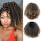 Drawstring Ponytail Afro Kinky Curly for Black Women Short Wave Synthetic Ponytail Hair Extension(T1B/27)