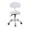 Saddle Stool Chair with Back Rolling Esthetician Seat for Salon Tattoo Shop Spa Facial lash Home Dentist Clinic Esthetician Chair(with Back Support, White)