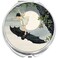 NewCharms Girl Riding Bat Art Nouveau Compact with Mirrors - Perfect Pocket and Purse Size Folding Mirror for Applying Make Up Anywhere