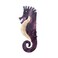 Hippocampus Hair Clip,Cellulose Acetate Hair Clips,Big Claw Clips for Women,Hair Accessories,Purple