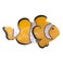 Clownfish Hair Clip,Cellulose Acetate Hair Clips,Big Claw Clips for Women,Hair Accessories