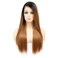 Onedor 24 Inch Fiber Straight Lace Front Wig (Honey Blonde)