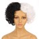 Onedor Women's Iconic Dual-Tone Short Curly Wig &ndash; Striking Black &amp; White Synthetic Hair for Dramatic Themed Events (Style 1)