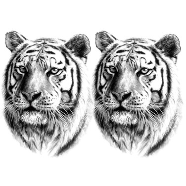 2 Sheets Realistic Animal Temporary Tattoos Stickers Sketch Lifelike Tiger Power Designs For Men Waterproof Arm Leg Fake Body Art, Gym &amp; Parties Bold Masculine Decals