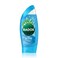 Radox Feel Active Shower Gel 250ml by Radox
