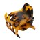 Rosemarie Collections Women's Sturdy Jaw Clip Hair Combs (Small Tortoise Shell, 1.5")