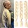 Blonde (613#) Braiding Hair Extensions Blonde Braid Crochet Twist Hair Premium Synthetic Fiber for Women 24 Inches 100g/bundle (3 Bundles/Pack,613#)