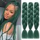 Dark Green Braiding Hair Extensions Dark Green Braid Crochet Twist Hair Premium Synthetic Fiber for Women 24 Inches 100g/bundle (3 Bundles/Pack,Dark Green)