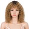 Style Icon Human Hair Afro Wigs Short Curly Wigs for Black Women Wig With Bangs (14 Inches, TT2/27)