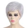 SYXLCYGG Short Silver White Wig Old Lady Wigs Wavy Synthetic 2.7 OZ Older Ladies Womens Hair Wigs Fluffy Thin and full Free Wig Cap