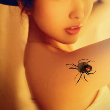 Fake Waterproof 3D Insects Temporary Spiders Tattoos Stickers 5 Sheets