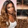 1B/30 Lace Front Wigs Human Hair Highlight Ombre 5x5 Pre Cut Lace Front Wigs Human Hair Dark Root to Brown 5x5 HD Lace Closure Wigs Glueless Bouncy Body Wave Lace Frontal Wigs 180 Density 20 Inch