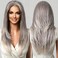 testar 13&times;6 HD Lace Front Wig Gray Wigs for Women 22 Inch Long Straight Silver Wig Natural Layered Hair Glueless Wig Synthetic Silver Lace Front Wigs Middle Part Halloween/Party/Daily Use (Hand Tied)