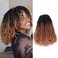 Toyotress Yanky Twist Crochet Hair - 10 Inch 8 Packs (30 Strands/Pcs) Fluffy Spring Mini Twist Short Bob Passion Twist, Ombre Brown Pre-Looped Crochet Braids Braiding Hair (10 Inch, OT30-8P)
