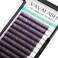 VAVALASH Ombre Colored Lash Extension 0.07 Thickness DD Curl Black Gradient Violet Individual Premium Eyelash Extensions Volume Lash Extension (Black Gradient Violet 0.07 DD, 13-20mm)