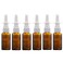6PCS 10ml/0.34oz Empty Brown Glass Nasal Spray Bottle Container Pot Travel Packing Perfume Makeup Water Storage Holder Container with Fine Mist Sprayers