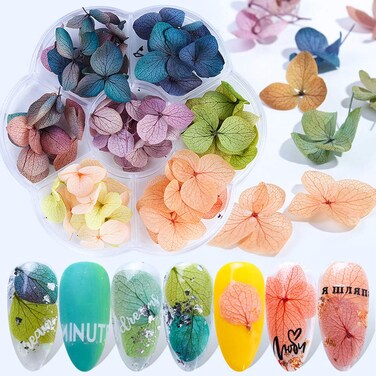 50 PCS/7 Color Box Hydrangea Petals of Dry Flowers Nail Art Stickers Natural Nail Supplies Curved Tweezers with Professional