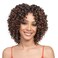 XIUFAXIRUSI XIUFAXIRUSI Short Kinky Curly for Black Women Brown Afro Curly Middle Part Wig Full and Soft Synthetic Wig