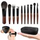 Travel Makeup Brush Set with Case, Mini Makeup Brushes Set for Powder, Foundation, Eyeshadow, Lip, Highlight, Blush &amp; Concealer, 10 Pcs Travel Size Makeup Brushes &amp; 2Pcs Triangle Powder Puff
