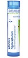 Boiron Aesculus Hippocastanum 9C for Hemorrhoid Pain - 80 Pellets