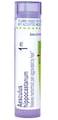 Boiron Aesculus Hippocastanum 1M for Hemorrhoid Pain - 80 Pellets