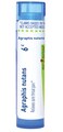 Boiron Agraphis Nutans 6C for Sore Throat Pain - 80 Pellets