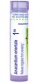 Boiron Anacardium orientale 1M for Indigestion from Overeating - 80 Pellets