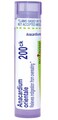 Boiron Anacardium orientale 200Ck for Indigestion from Overeating - 80 Pellets