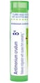 Boiron Antimonium Crudum 8X for Indigestion with Nausea from Overeating - 80 Pellets