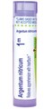 Boiron Argentum Nitricum 1M for Apprehension with Heartburn - 80 Pellets
