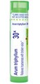 Boiron Arum Triphyllum 30X for Hoarseness with Broken Voice - 80 Pellets