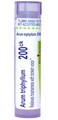 Boiron Arum Triphyllum 200Ck Homeopathic Medicine for Hoarseness - 80 Pellets
