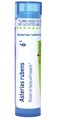 Boiron Asterias Rubens 6C for Hot Flashes with Headaches - 80 Pellets