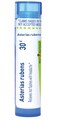 Boiron Asterias Rubens 30C for Hot Flashes with Headaches - 80 Pellets